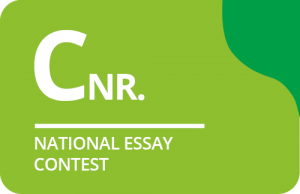 national essay contest french for the future